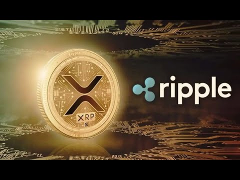 This Expert Urges You to Stop Doubting XRP! Reasons for a Big Surge Ahead!